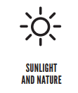 line drawing of a sun and the words "sunlight and nature"